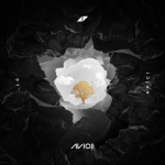 Avicii - Without You ft. Sandro Cavazza 