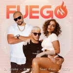 DJ Snake, Sean Paul, Anitta - Fuego ft. Tainy à découvrir sur MixFeever