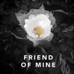 Avicii - Friend Of Mine