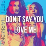 Fifth Harmony - Don't Say You Love Me