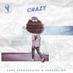 Lost Frequencies & Zonderling - Crazy