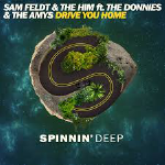 Sam Feldt & The Him  Drive You Home