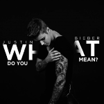 Justin Bieber - What Do You Mean