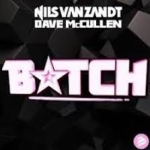 Nils van Zandt & Dave McCullen - Bitch