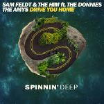 Sam Feldt & The Amys - Drive You Home 